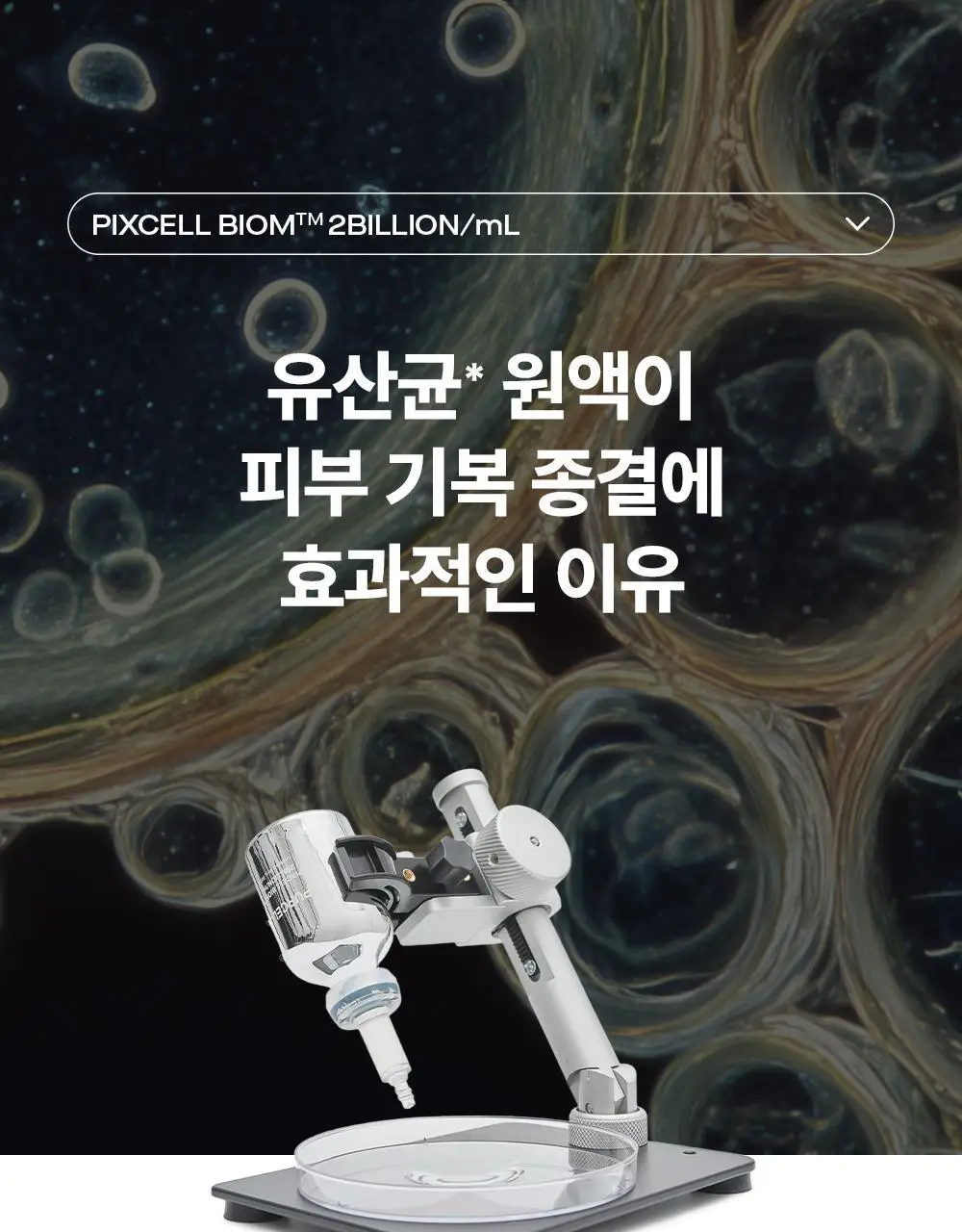 [튼튼장벽강화] 퍼셀 20억/mL 픽셀바이옴 유산균 원액 20ml 상세페이지 24